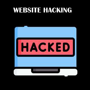 Website Hacking